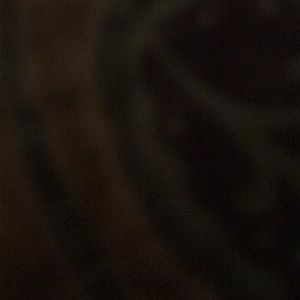 Meet your Posher, Gabe